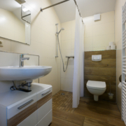 Gezellige badkamer met douche, wastafel en toilet